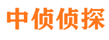 顺河私家侦探公司